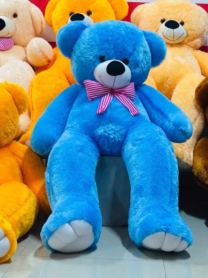 5 Feet Chubby Teddy Bear